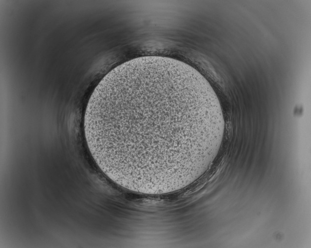 X0000102340458200808291141
