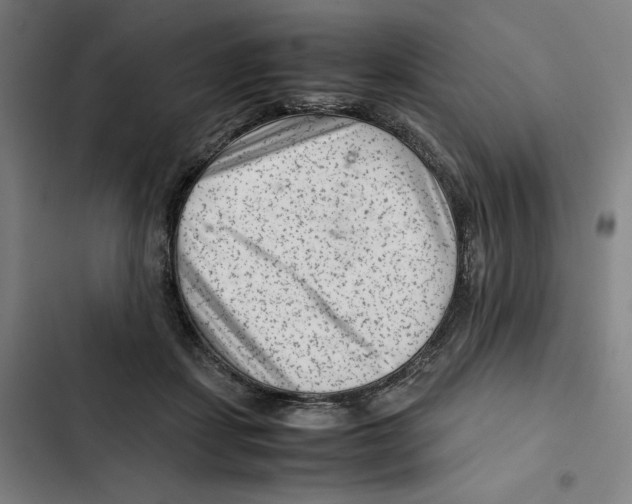 X0000102340459200808291141