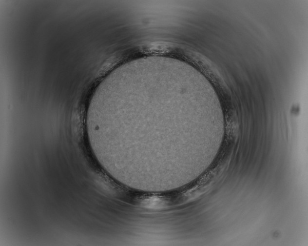 X0000102340460200808291141