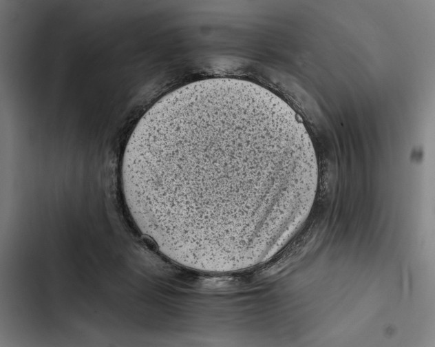 X0000102340461200808291141