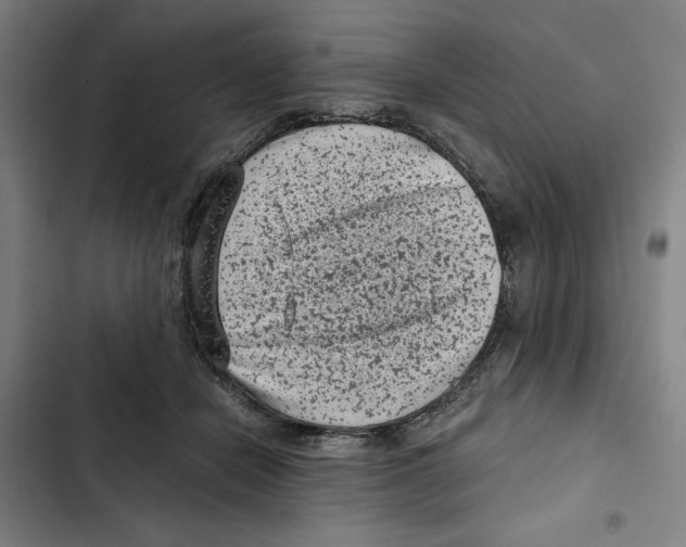 X0000102340462200808291141