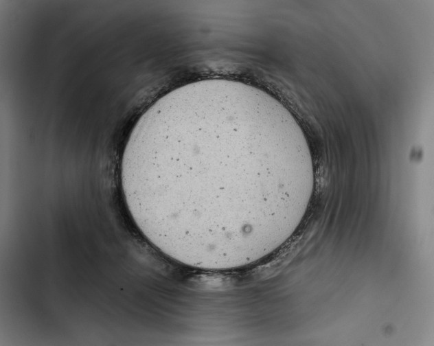 X0000102340464200808291141