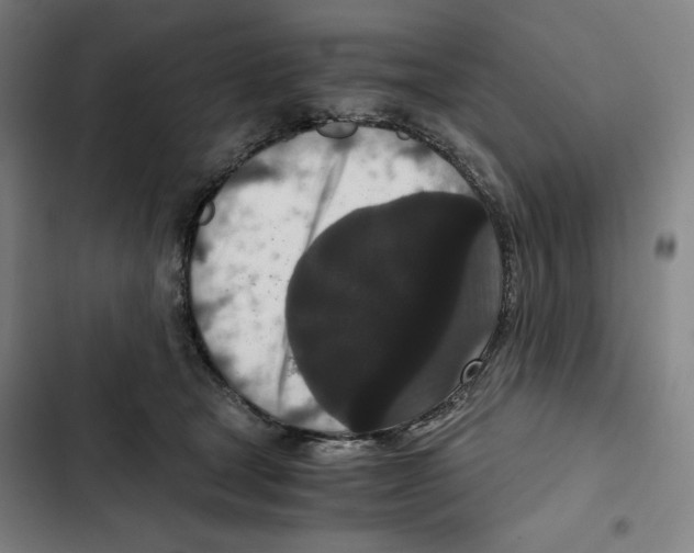X0000102340465200808291141
