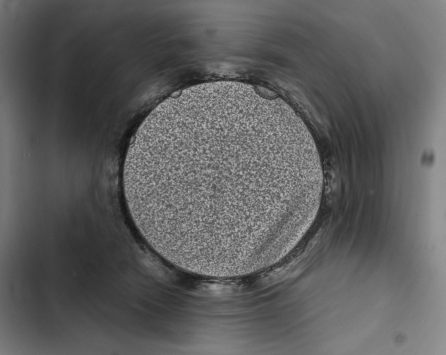 X0000102340466200808291141
