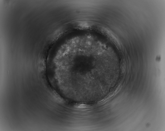 X0000102340467200808291141