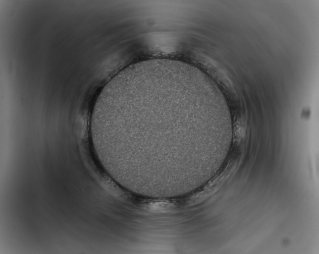 X0000102340468200808291141