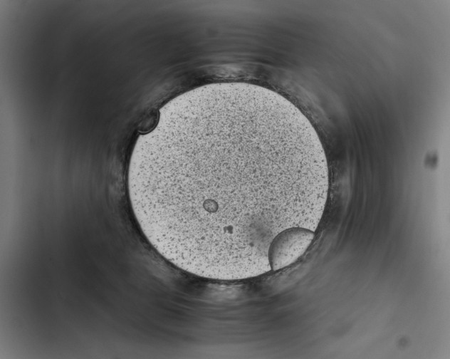 X0000102340469200808291141