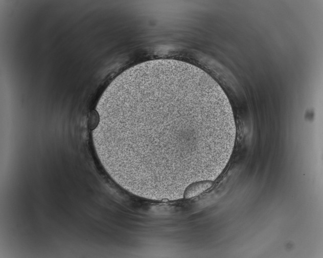 X0000102340470200808291141