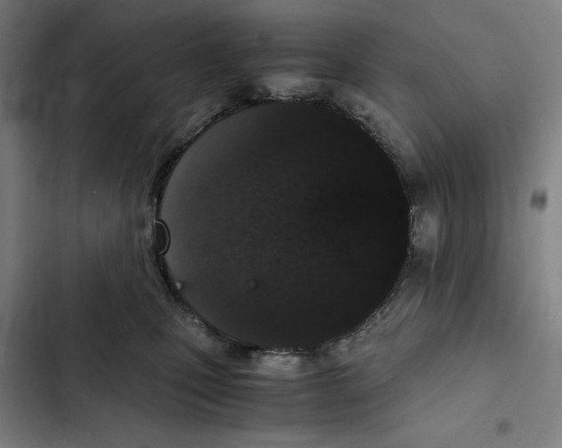 X0000102340471200808291141