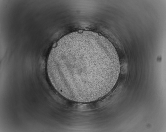 X0000102340472200808291141