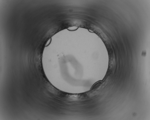 X0000102340473200808291141