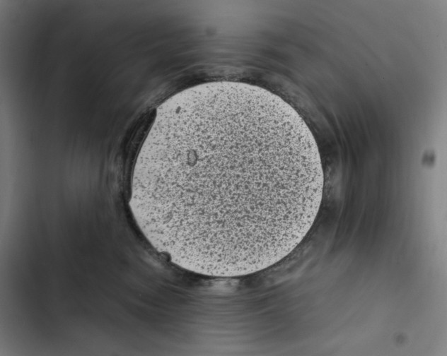 X0000102340474200808291141
