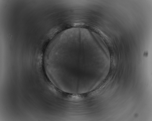 X0000102340475200808291141