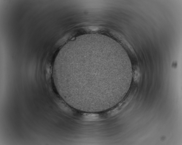 X0000102340476200808291141