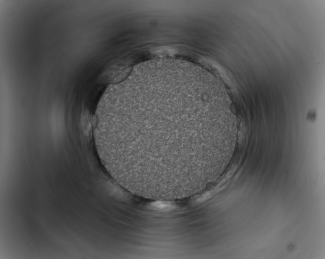 X0000102340477200808291141