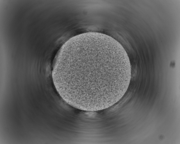 X0000102340478200808291141