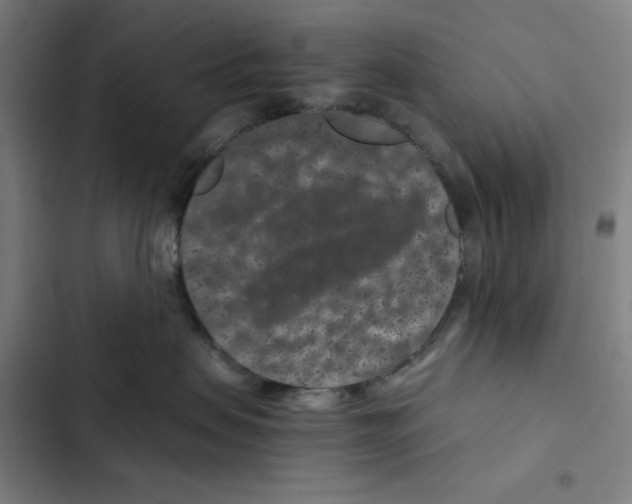 X0000102340479200808291141