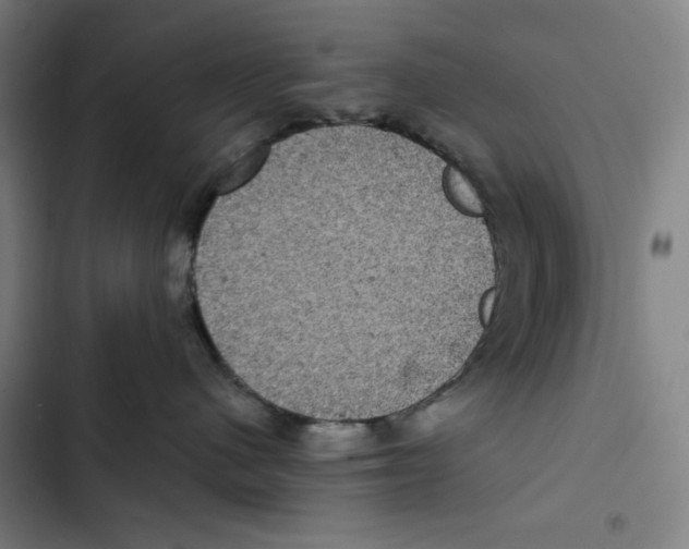 X0000102340480200808291141