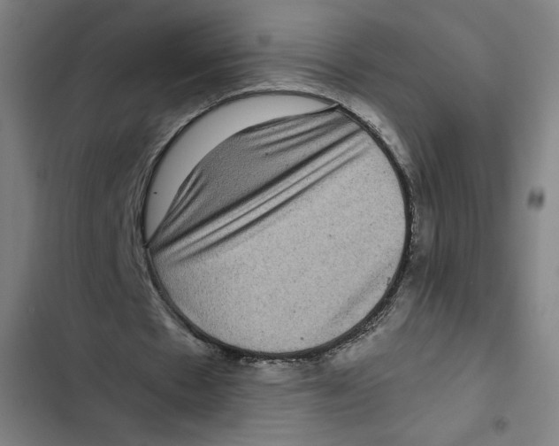 X0000102340481200808291141