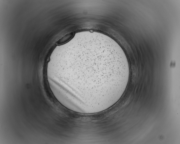 X0000102340482200808291141