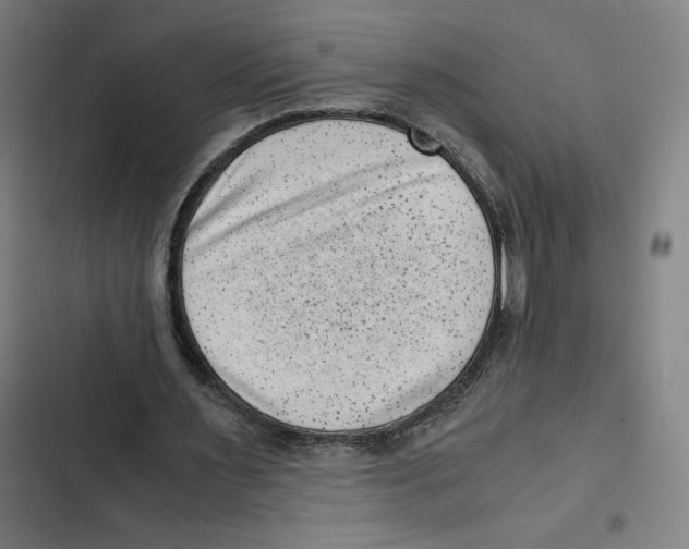 X0000102340483200808291141
