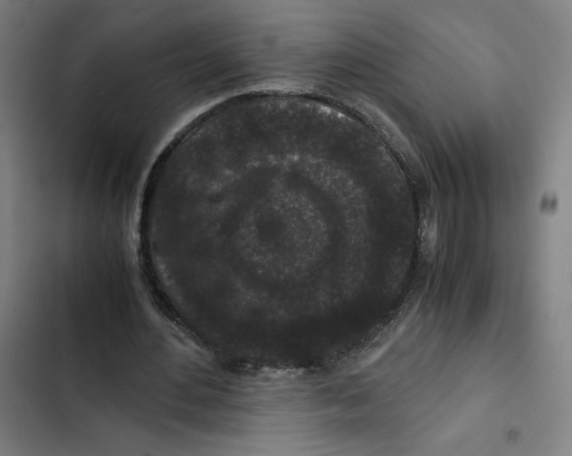 X0000102340484200808291141