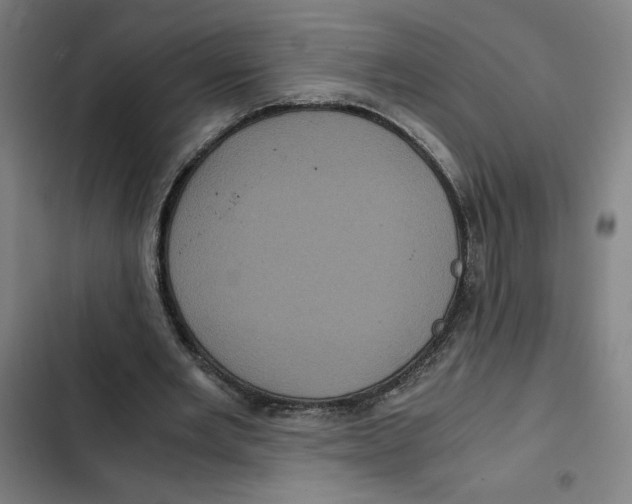X0000102340485200808291141
