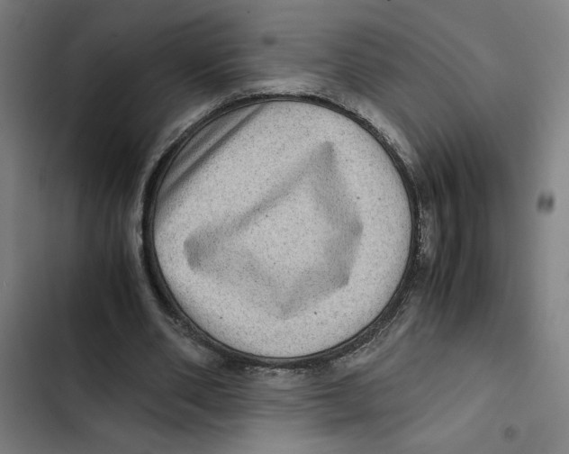 X0000102340486200808291141