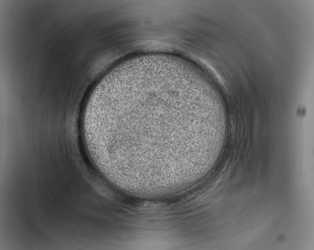 X0000102340487200808291141