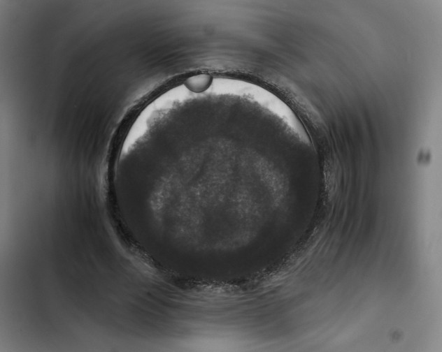 X0000102340488200808291141