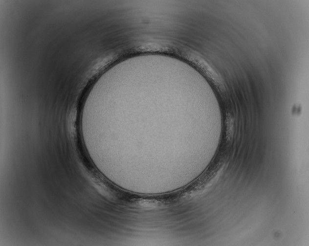 X0000102340490200808291141