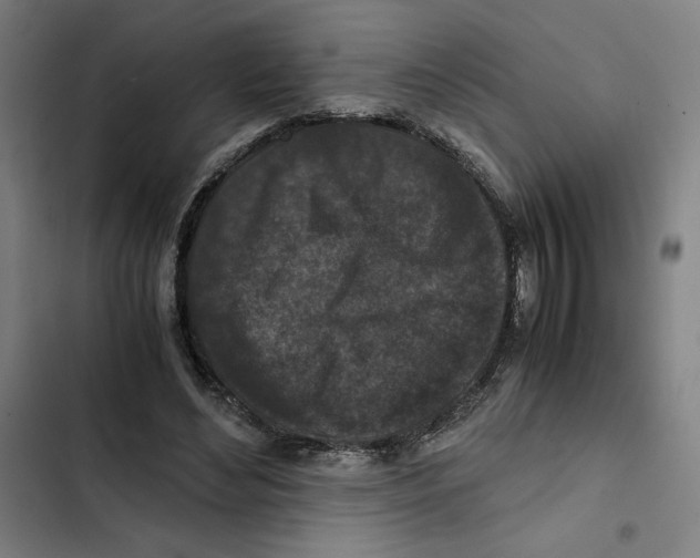 X0000102340492200808291141
