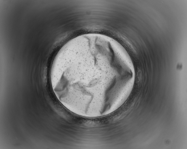 X0000102340494200808291140