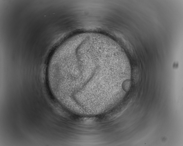 X0000102340495200808291140