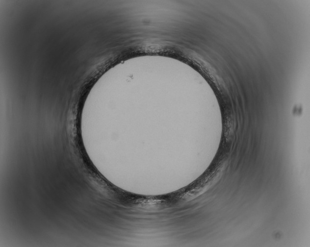 X0000102340497200808291140
