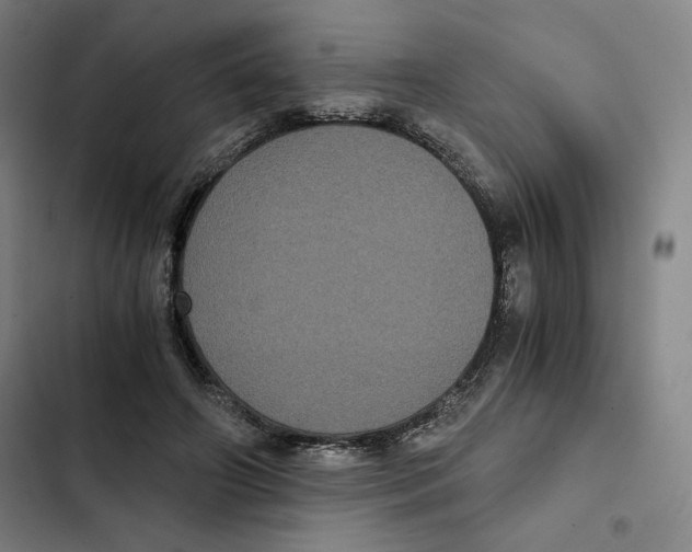 X0000102340498200808291140