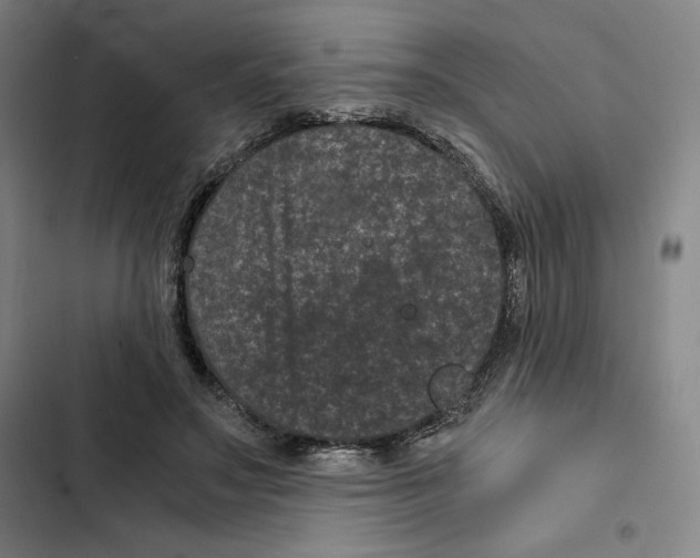 X0000102340499200808291140