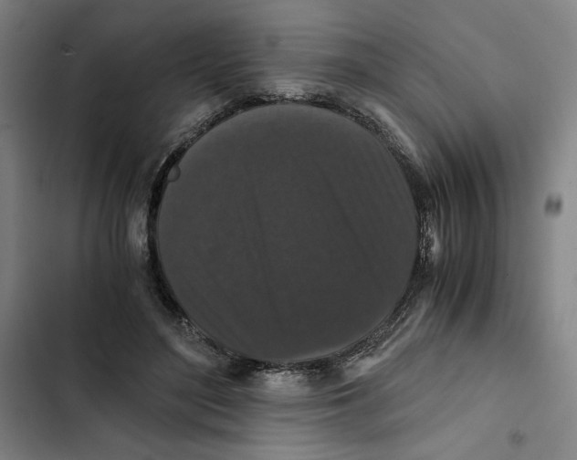 X0000102340500200808291140