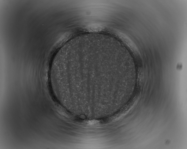 X0000102340501200808291140