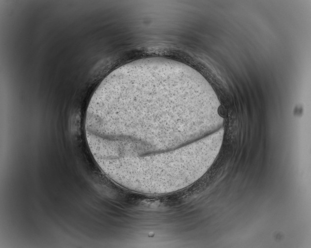 X0000102340502200808291140