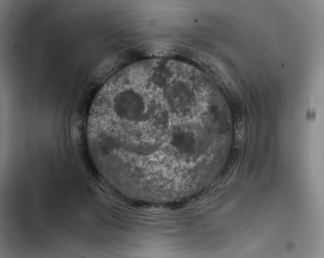 X0000102340503200808291140