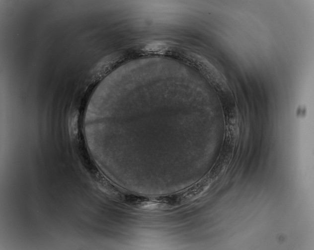 X0000102340504200808291140