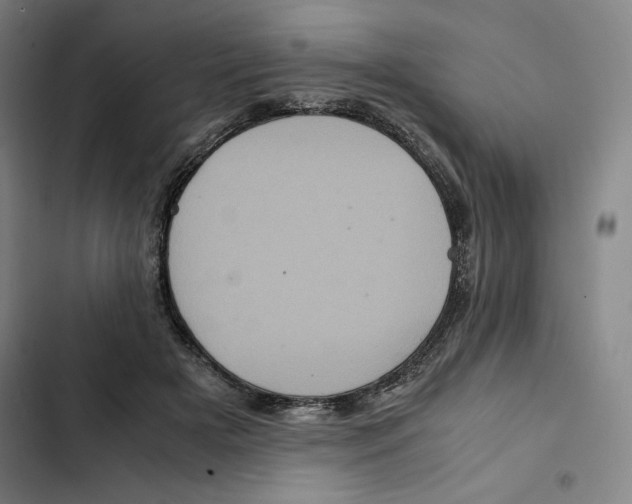 X0000102340505200808291140
