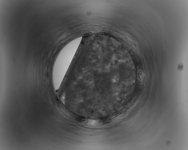 X0000102340507200808291140