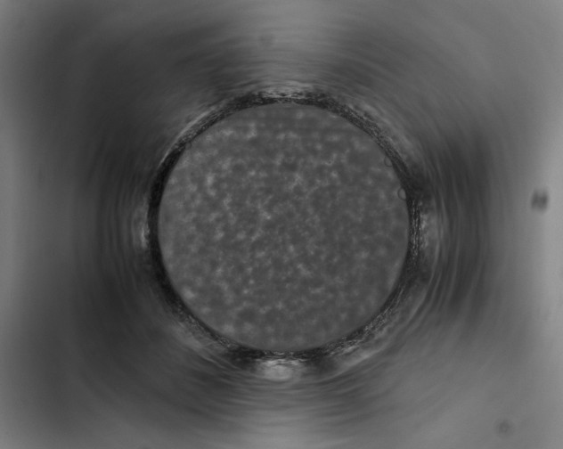 X0000102340508200808291140