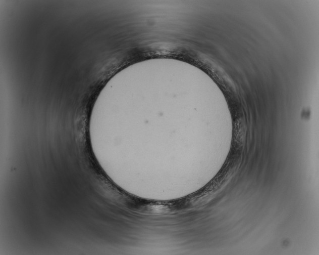 X0000102340509200808291140
