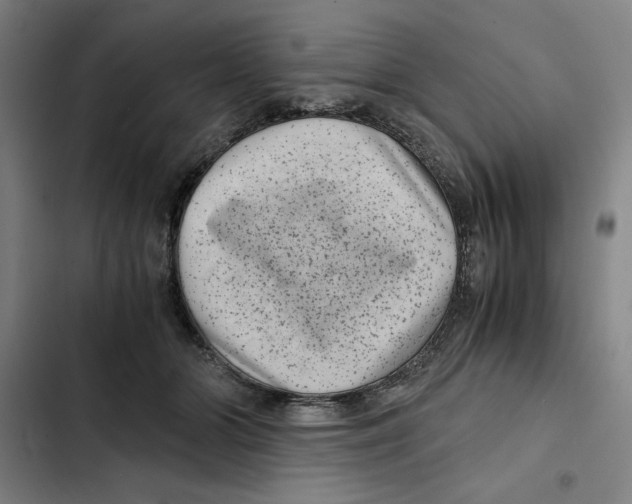 X0000102340510200808291140