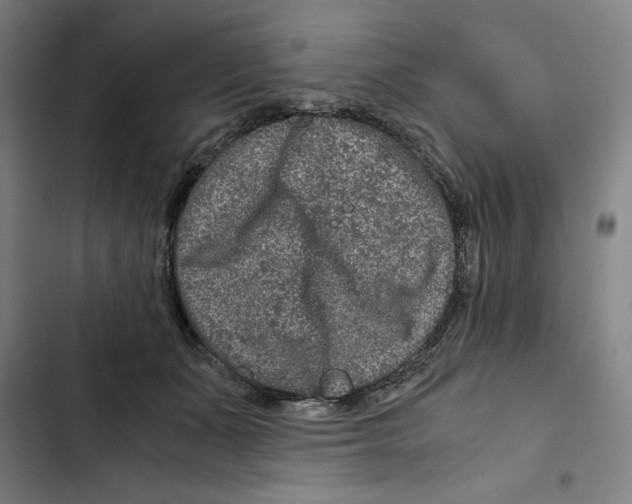 X0000102340511200808291140