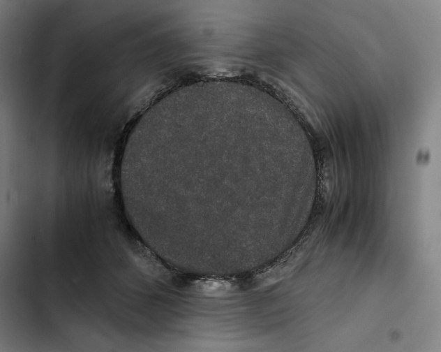 X0000102340512200808291140