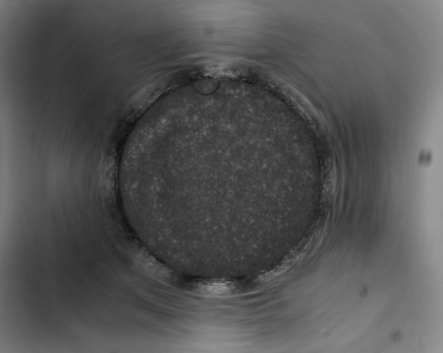 X0000102340513200808291140